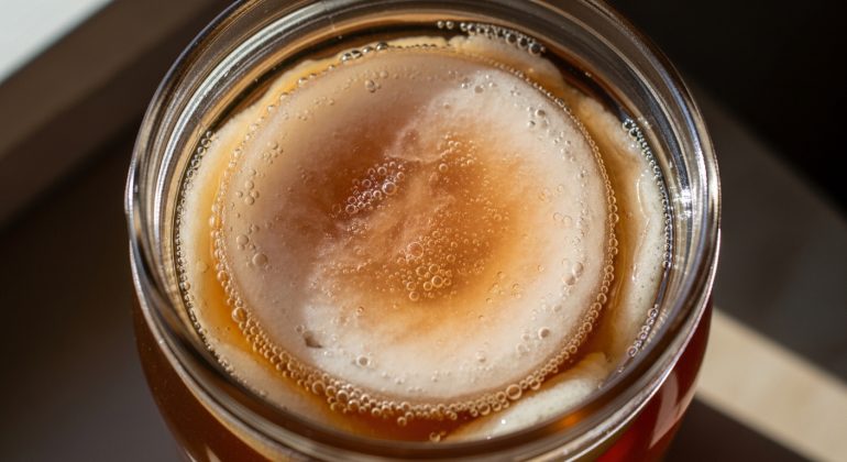 مقاله قارچ کامبوجا