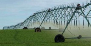 دانلود گزارش کارآموزی در کشت و صنعت مغان