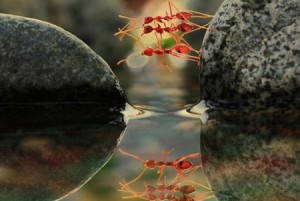 مقاله تقابل سنگ و آب