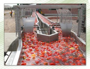 دانلود گزارش کارآموزی در کارخانه رب مغان