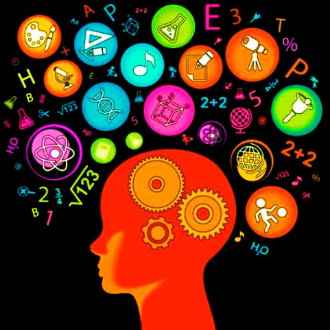 دانلود گزارش کارآموزی مطالعه پرونده بطرفیت