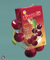 دانلود گزارش کارآموزی حسابداری در شرکت شهد ایران