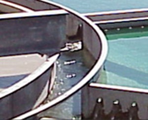 گزارش کار آموزی مدیریت نگاهی بر مدیریت در شرکتهای مهندسی آب و فاضلاب ایران