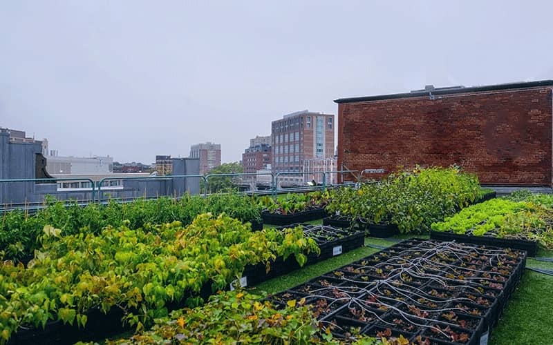 دانلود مقاله درباره کشاورزی شهری