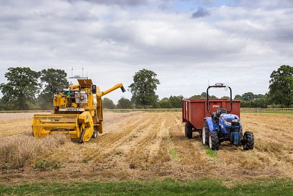 مقاله مفاهیم و راهبردهای ترویج کشاورزی در توسعه روستایی