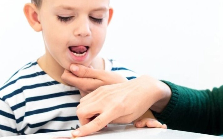 مقاله در مورد اختلالات زبانی