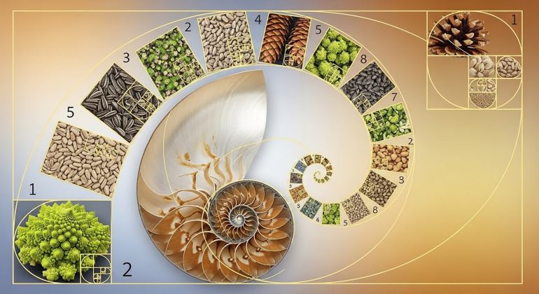 پاورپوینت اعداد فیبوناچی