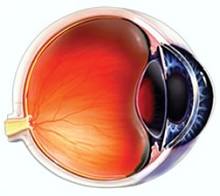 مقاله نور و افتالمولوژی چشم Light the paper and Ophthalmology