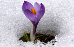 تحقیق در مورد اخلاق و ادب