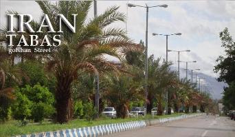 مقاله آشنایی با شهرستان طبس