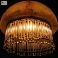 تحقیق بی مهره گان