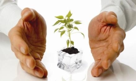 مقاله زراعت و اصلاح نباتات