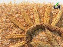تحقیق اثر سبوس گندم بر روی خواص خمیر