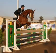 مقاله ورزش سوارکاری