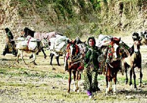 تحقیق توریسم روستایی و عشایری