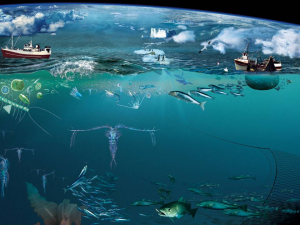 مقاله در مورد اکولوژی دریا