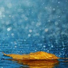 Resurrection and immortality of the human research