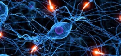 دانلود مقاله آشنایی با شبکه های عصبی مصنوعی