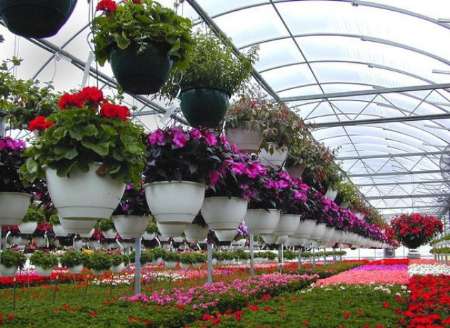 دانلود مقاله گلخانه