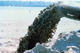 مقاله آلودگی آب