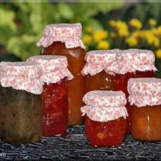 طرح توجیهی تولید مربا، ترشی و خیارشور