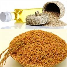 طرح توجیهی تولید روغن سبوس برنج