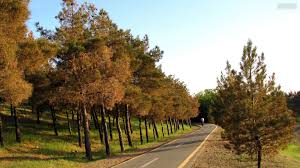 بررسی عوامل محیطی جغرافیایی و انسانی پارک چیتگر