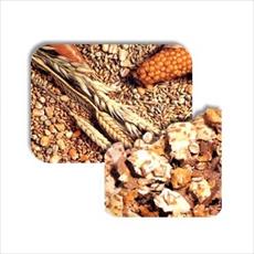 طرح توجیهی تولید خوراک دام و طیور