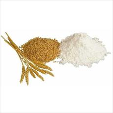 طرح توجیهی تولید نشاسته از گندم