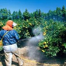 سموم مواد غذایی