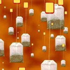 طرح توجیهی بسته بندی چای تی بگ