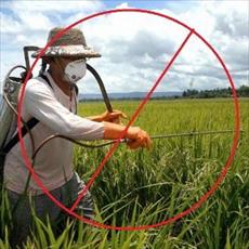 پاورپوینت آثار کشاورزی بر محیط زیست