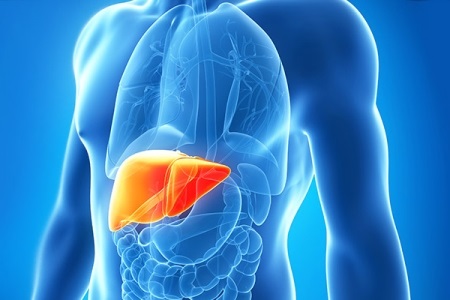 دانلود پاورپوینت نقش تغذیه در پیشگیری از بیماریهای مزمن