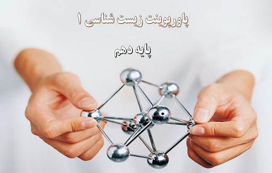 پاورپوینت یاخته و بافت جانوری گفتار 1 فصل 2 زیست شناسی دهم پاورپوینت یاخته و بافت جانوری گفتار 1 فصل 2 زیست شناسی دهم