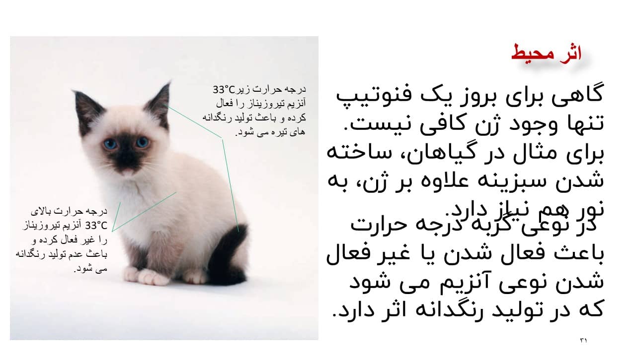 پاورپوینت انواع صفات زیست شناسی دوازدهم انواع صفات زیست شناسی دوازدهم