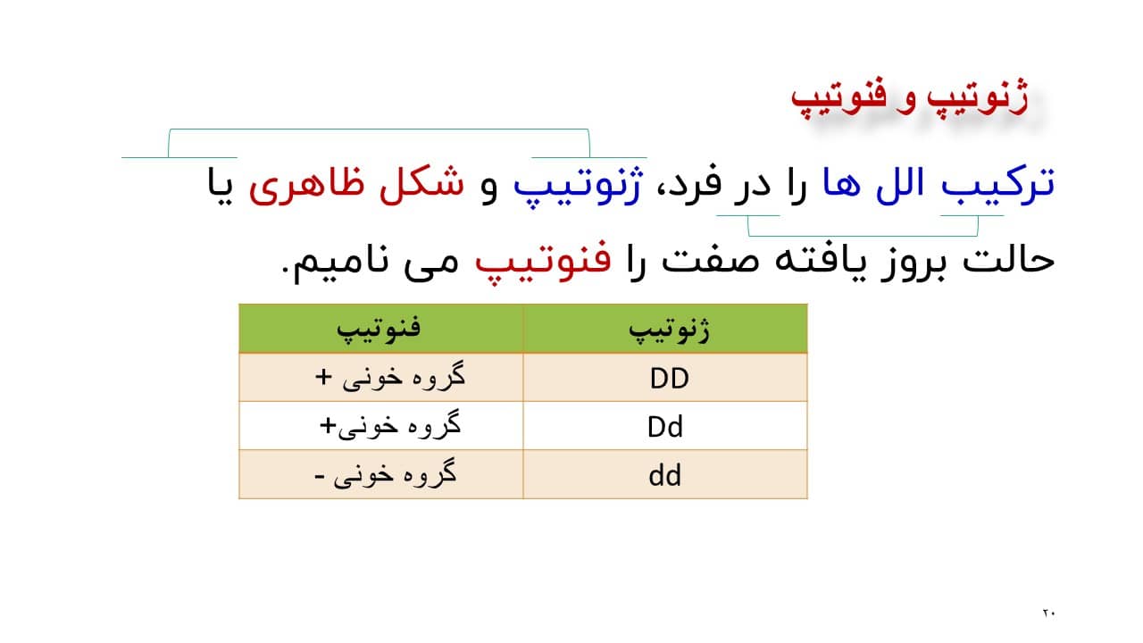 پاورپوینت مفاهیم پایه زیست شناسی دوازدهم پاورپوینت مفاهیم پایه زیست شناسی دوازدهم